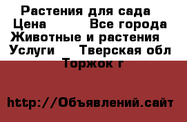 Растения для сада › Цена ­ 200 - Все города Животные и растения » Услуги   . Тверская обл.,Торжок г.